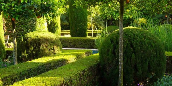 jardi-d-l-albbarda-botanische-tuin-2